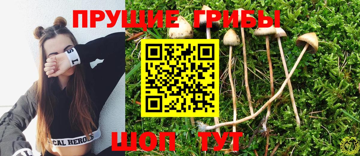 Галлюциногенные грибы Magic Shrooms Курганинск